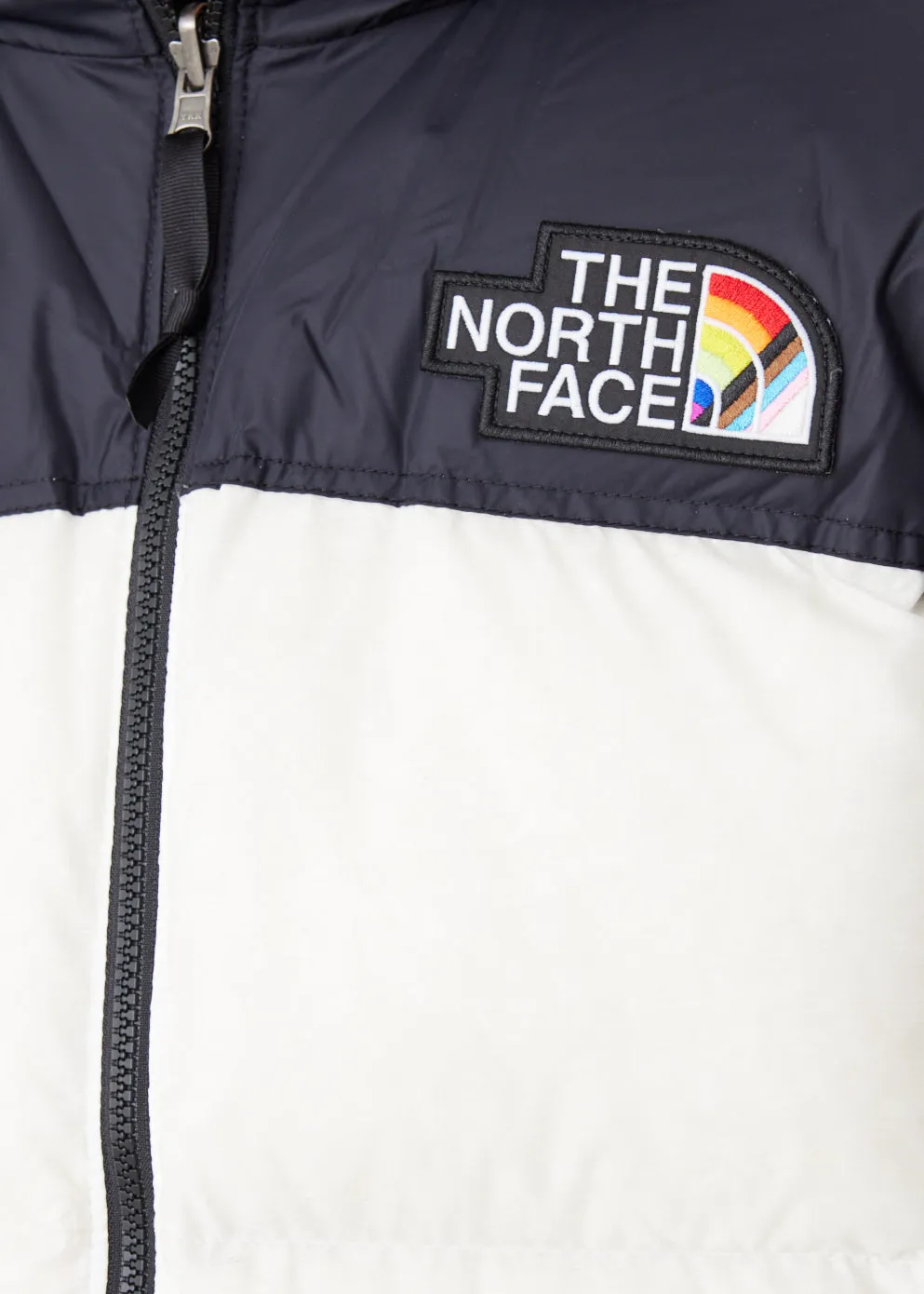 1996 Retro Nuptse Pride Jacket