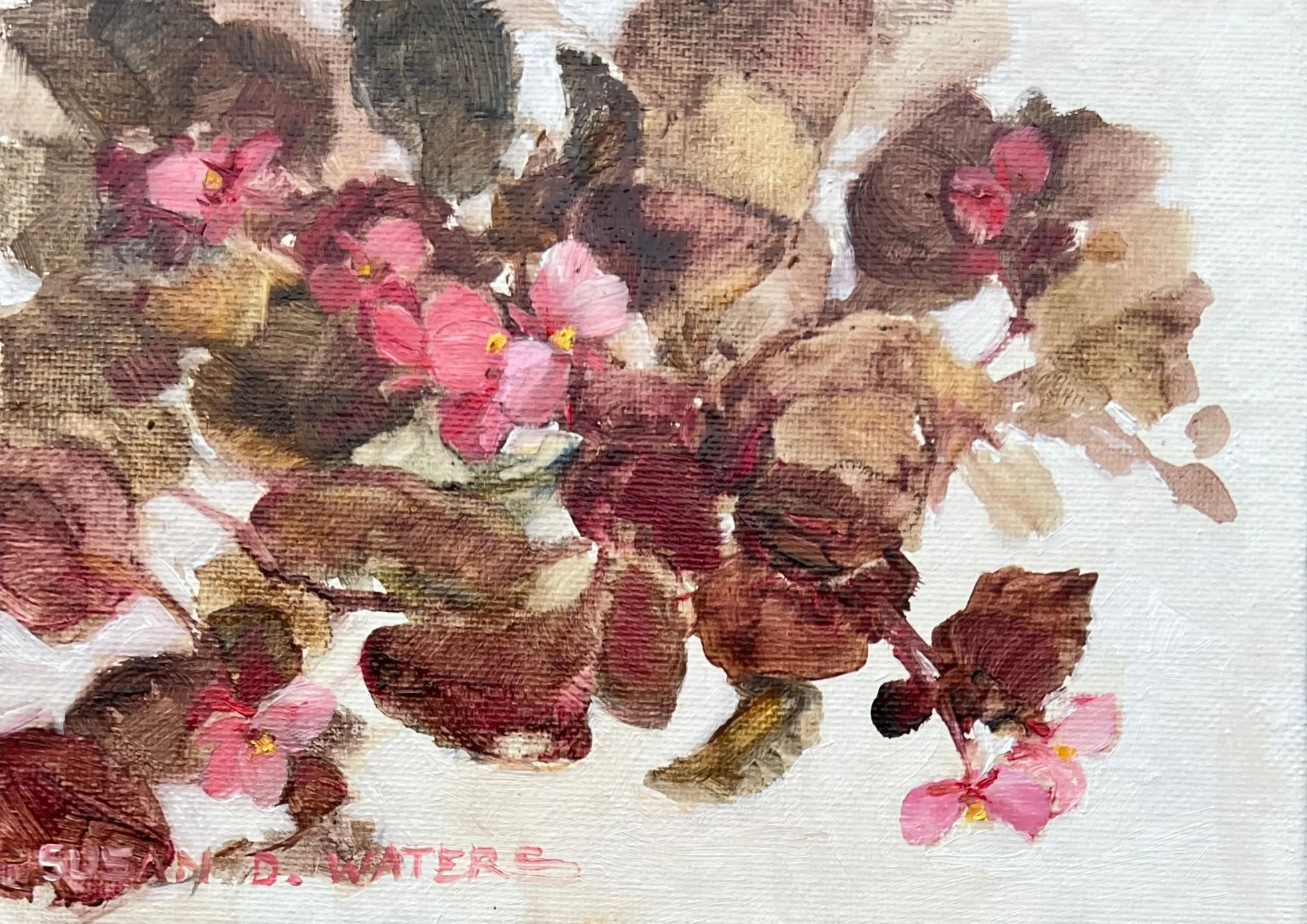 "Wax Begonias 2" by Susan D. Waters