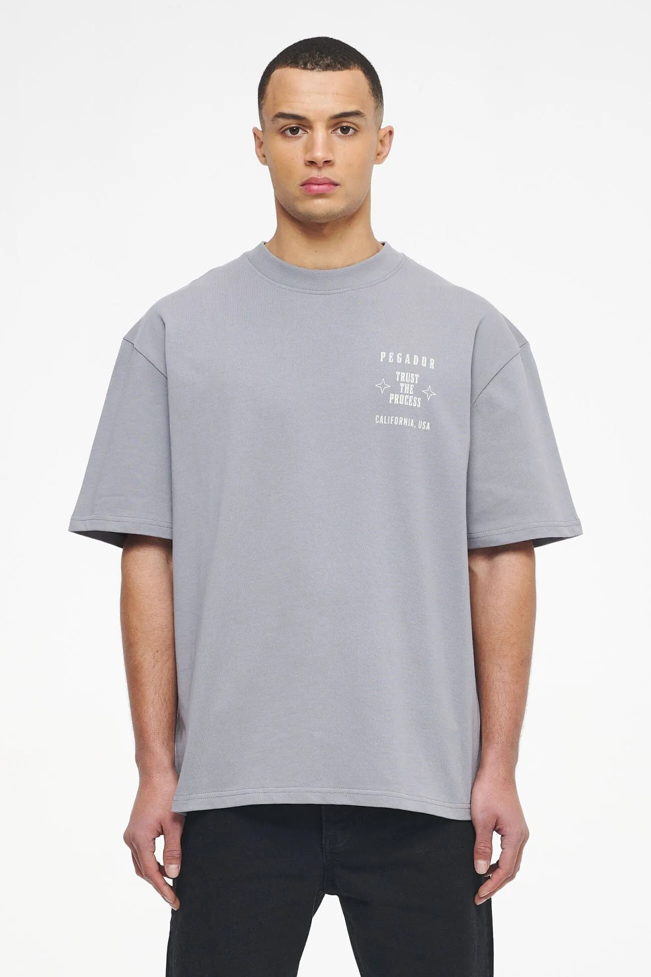 Salal Oversized Tee Vintage Washed Dusk Grey