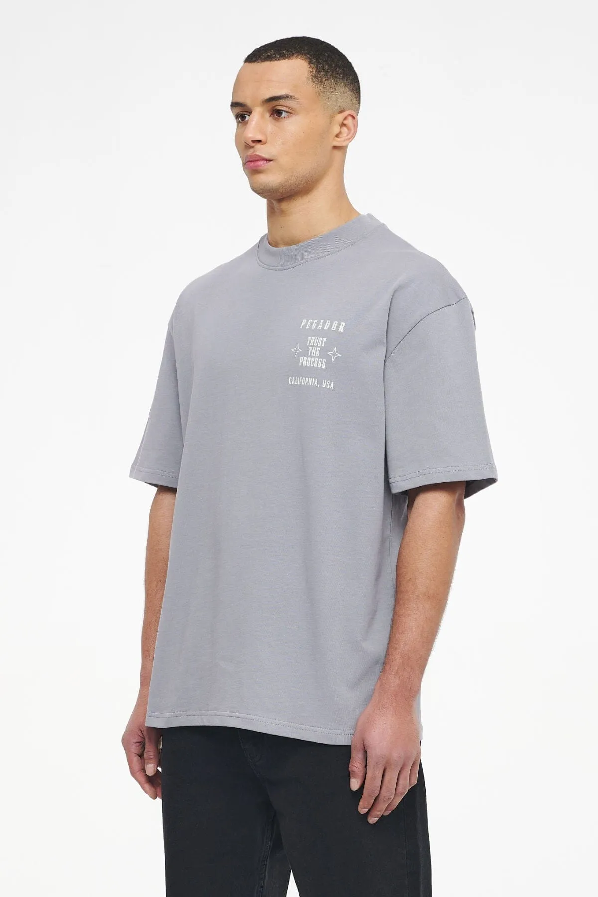 Salal Oversized Tee Vintage Washed Dusk Grey